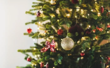 Christmas Debate: Fake Trees vs. Real Trees