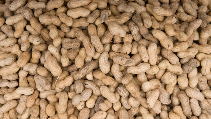 The 'Fruit of Longevity' That Safeguards the Heart