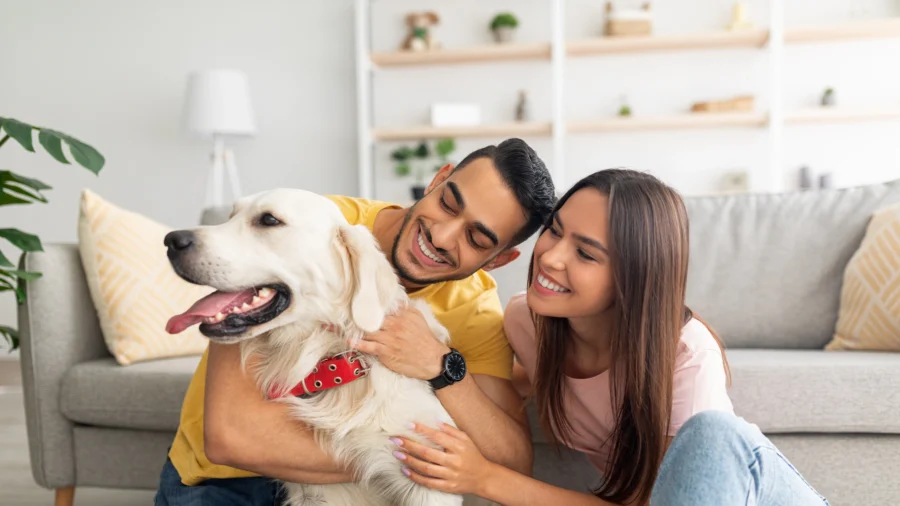 More Young Adults Choosing Dogs Over Children as Financial Woes, Anxiety Increase, Expert Says