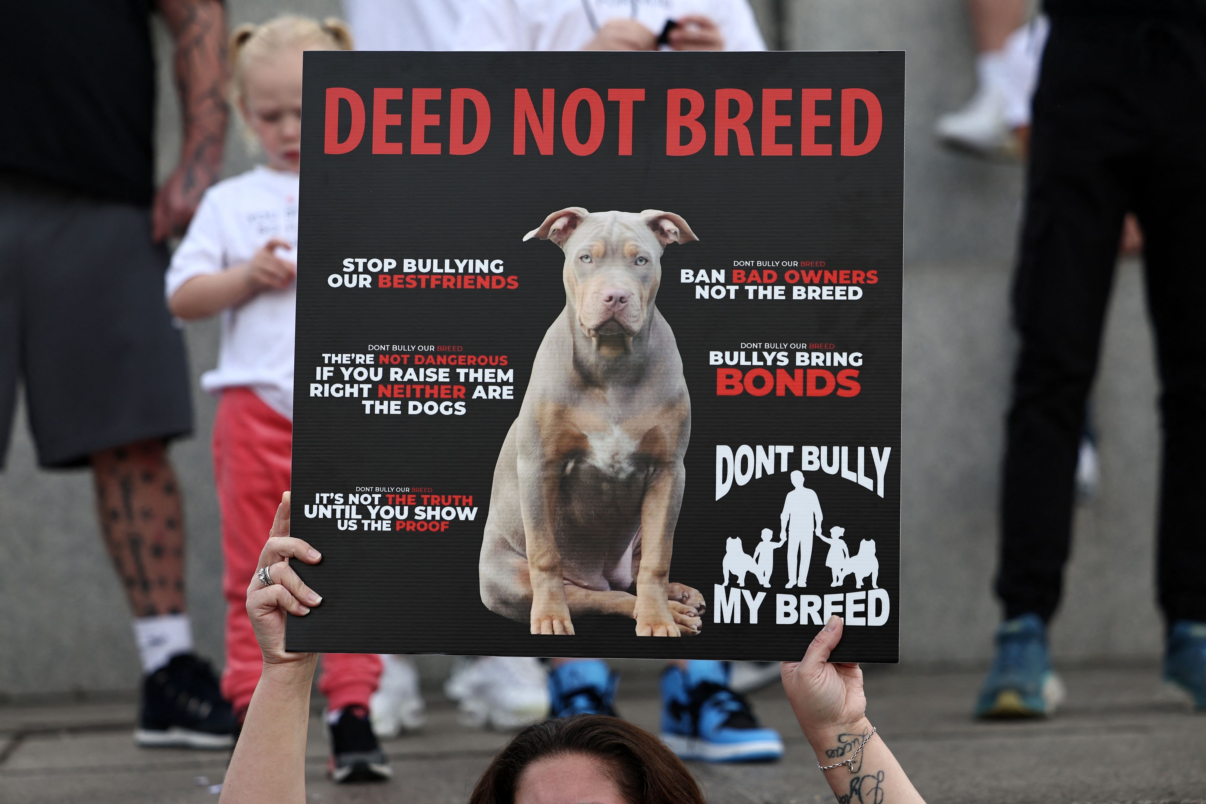 New Rules For XL Bully Dogs Ahead Of UK Ban NTD   Id964124 GettyImages 1711874933 