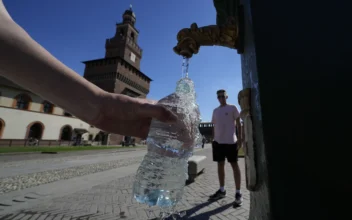 Scientists Find About a Quarter Million Invisible Nanoplastic Particles in a Liter of Bottled Water