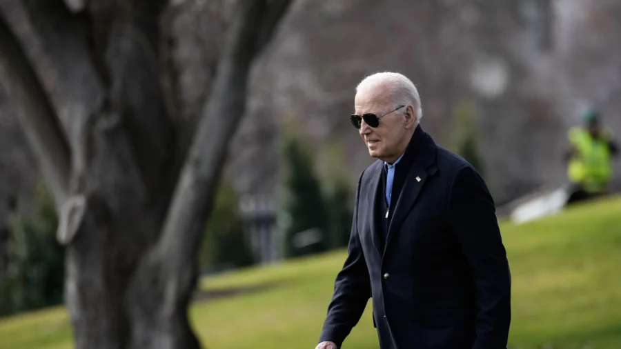 Biden Didn't Need Congress's Approval to Strike Houthi Targets in Yemen: Middle East Affairs Analyst