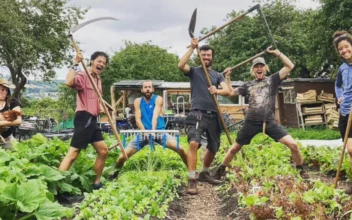 4 Young Friends Spent Their Life Savings to Buy a Farm and Live Their Dream