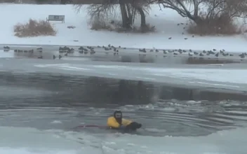 Firefighter Rescues Dog From Freezing Pond