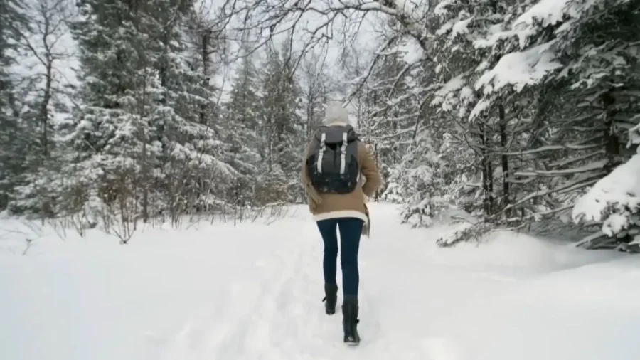 Skincare Adjustments for the Biting Cold of Winter