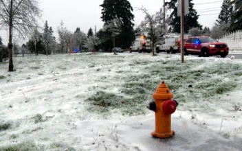 Downed Power Line Kills 3 but Baby in Diapers Survives in Oregon