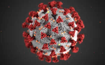Genetic Sequence of Coronavirus Was Submitted to US Database 2 Weeks Before China’s Official Disclosure, Documents Show