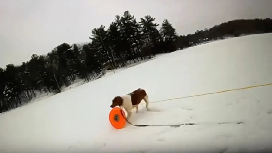 Good Girl! Officer Enlists Michigan Man’s Dog to Help Rescue Him From Icy Lake
