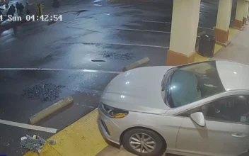 Thieves Use Government Car In Smash & Grab Caught on Video