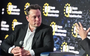 MrBeast Tested Elon Musk’s Theory and Took Home $250,000