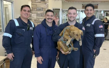 Dog Rescued After More Than a Week Trapped Inside a Shipping Container in Texas Port