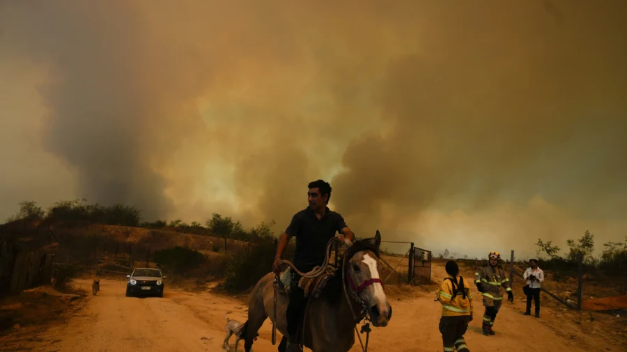 Forest Fires Rage On in Central Chile, Killing at Least 112