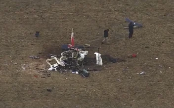 Goose Found in Flight Control of Medical Helicopter That Crashed in Oklahoma, Killing 3