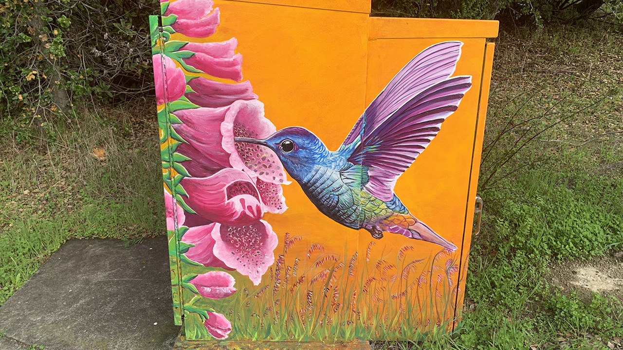 Artists Paint Utility Boxes, Beautify California City Neighborhoods NTD