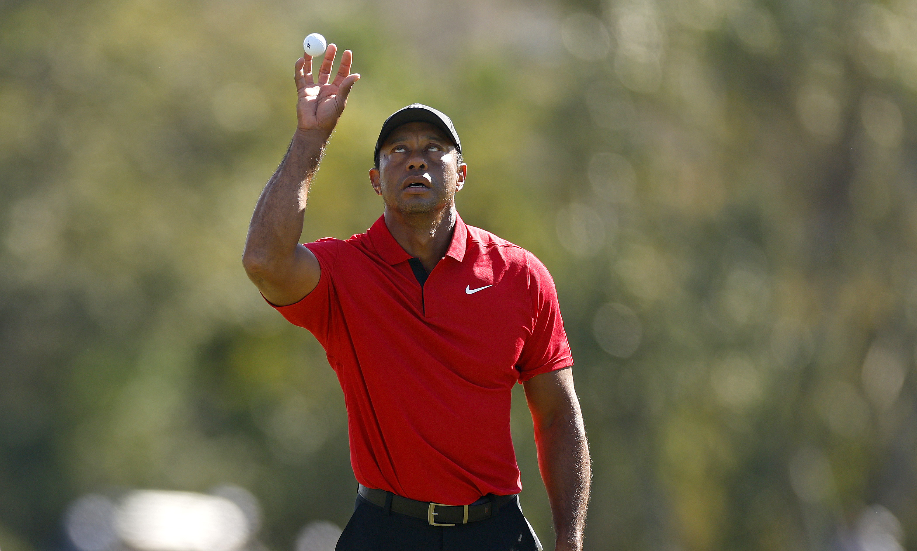Tiger Woods to Play Genesis Invitational Next Week | NTD
