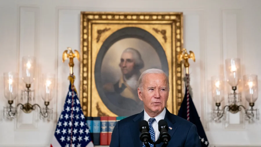 Comments in Special Counsel Report on Biden's Memory Are 'Politically Gratuitous': Former Chair of DC Democratic Party