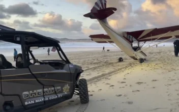 Man Charged With Stealing Small Airplane That Crashed on California Beach