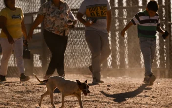 Animals Left Behind by Illegal Immigrants Create Major Public Health Crisis at Southern Border: Witness