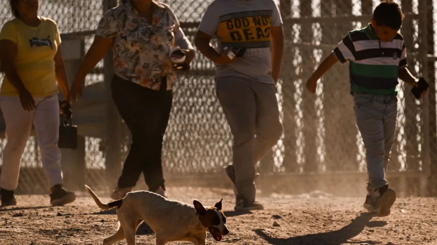 Animals Left Behind by Illegal Immigrants Create Major Public Health Crisis at Southern Border: Witness