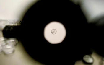 In Vitro Embryos Are Children Protected Under Law: Alabama Supreme Court