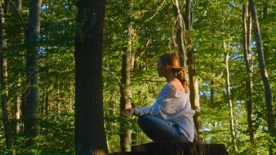 ‘Simply Look Only Within’: Slow Living During a Season of Reflection and Renewal