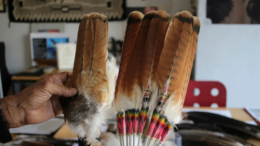 Man to Plead Guilty in ‘Killing Spree’ of Eagles and Other Birds for Feathers Prized by Tribes