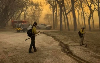 Out-of-Control Wildfires Scorch Texas Panhandle and Briefly Shut Down Nuclear Weapons Facility