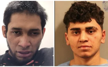 2 Illegal Immigrants Charged in 2 Separate Attacks on Minors, 1 Toddler Dead