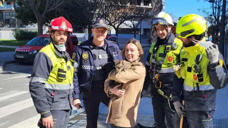 Unlikely Survivor Coco the Cat Found 8 Days After Fire in Valencia, Spain