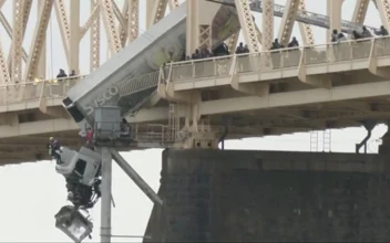 Rescue of Truck Driver Dangling From Bridge Was a Team Effort, Firefighter Says