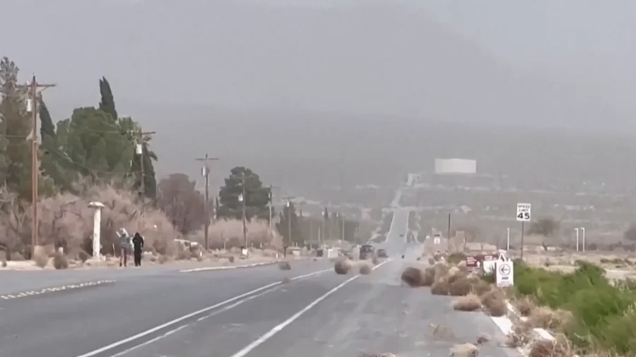 Tumbleweeds Engulf Areas In the Southwest
