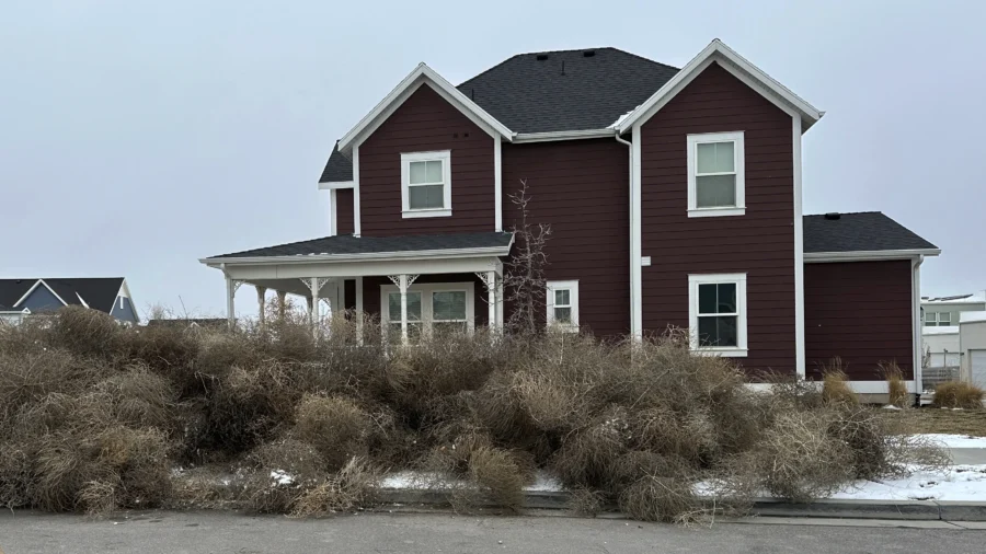 Iconic Old West Tumbleweeds Roll in and Blanket Parts of Suburban Salt Lake City