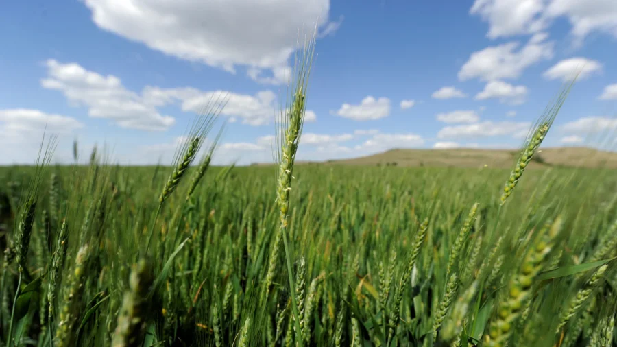 House CCP Committee Hearing on ‘Growing Stakes’ in Bioeconomy, National Security