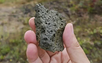 Ancient Stone Tools Found in Ukraine Date to Over One Million Years Ago