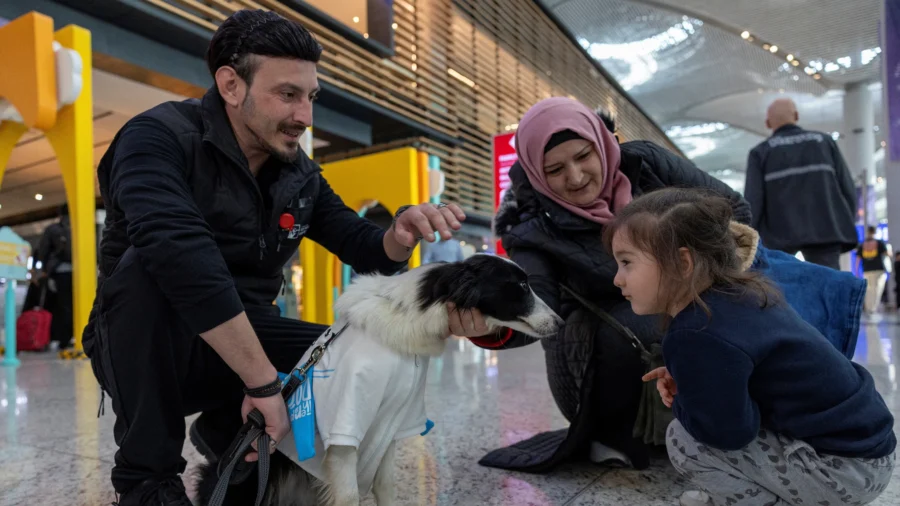 Therapy Dogs Comfort Passengers at Istanbul Airport