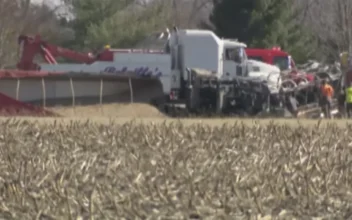 Illinois Police Identify 3 Kids and 2 Drivers Killed When School Bus Hit Semitruck