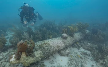 Vessel Off Florida Keys Identified as British Warship That Sank in the 18th Century