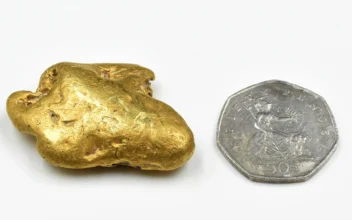 Man Finds ‘England’s Largest’ Gold Nugget, Despite Metal Detector Failing