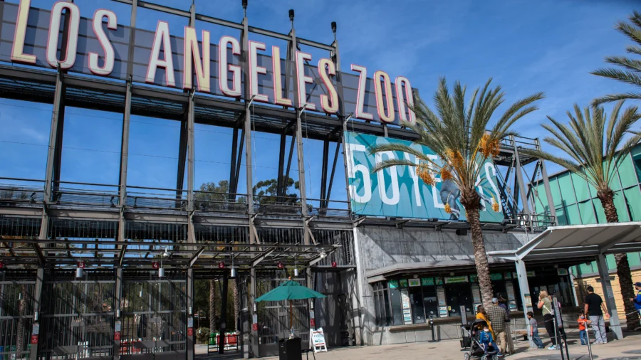 Racial Discrimination in LA Zoo's Internship Program: Attorney
