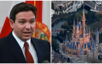 Disney Reaches Settlement With DeSantis, District Board