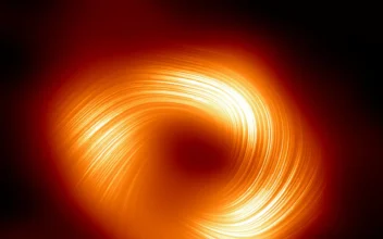 Twisted Magnetic Field Observed Around Milky Way’s Central Black Hole