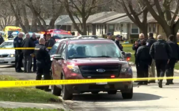 4 People Killed and 7 Wounded in Stabbings in Northern Illinois, With Suspect in Custody