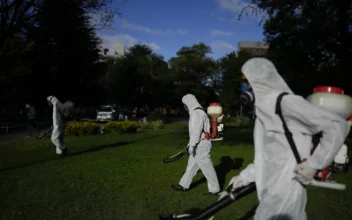 Dengue Is Sweeping Through the Americas Early This Year