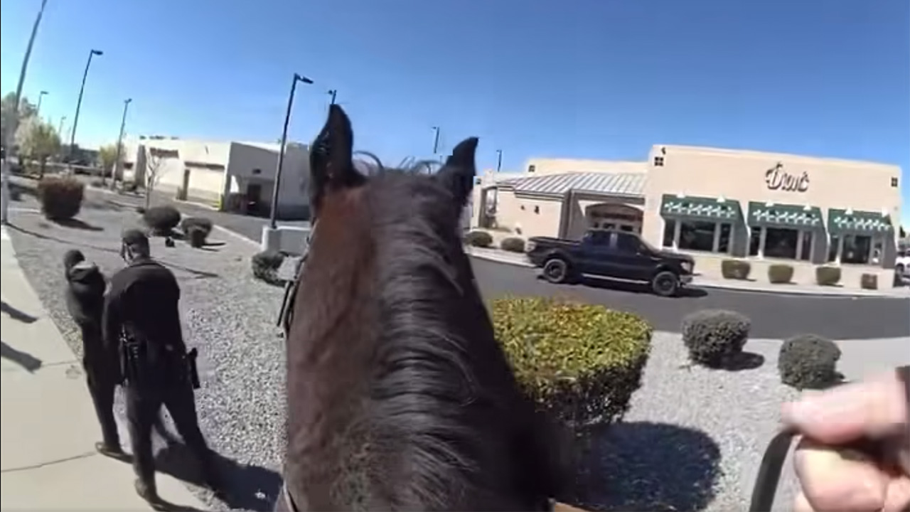 Horse-Mounted Police Chase Alleged Shoplifter in New Mexico | NTD