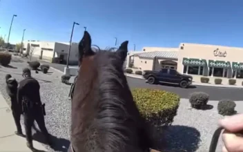 Horse-Mounted Police Chase Alleged Shoplifter in New Mexico