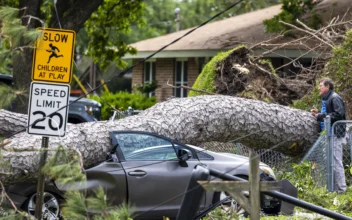 Michael Bray looks at the pine tree that fell onto his car outside his home in Slidell, La., on April 11, 2024. (Chris Granger/The Times-Picayune/The New Orleans Advocate via AP)