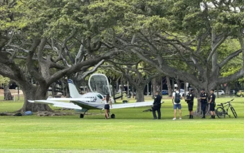 No Injuries When Small Plane Lands in Sprawling Park in Middle of Hawaii’s Waikiki Tourist Mecca