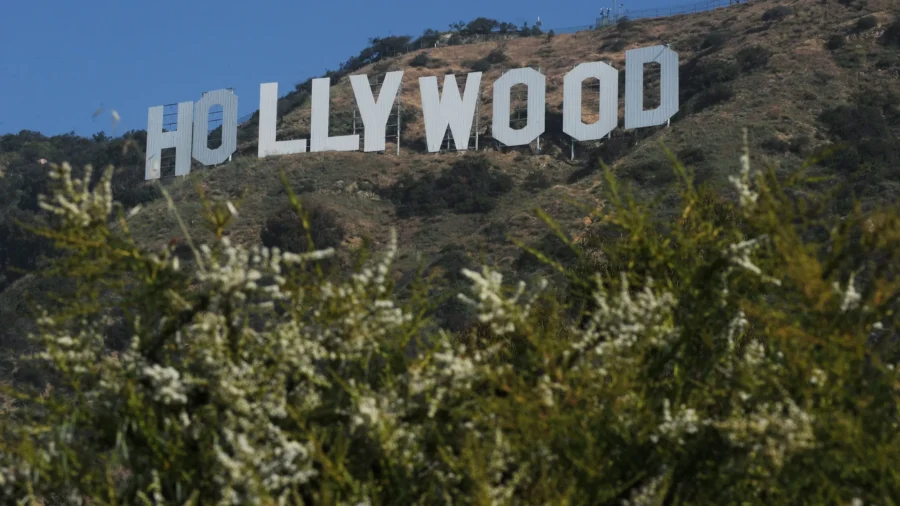 Expert: Hollywood Needs Some Diverse Storytelling; Millions Consume Conservative Media Content