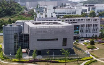 An aerial view shows the P4 laboratory at the Wuhan Institute of Virology in Wuhan in China's central Hubei province on April 17, 2020. (Hector Retamal/AFP via Getty Images)