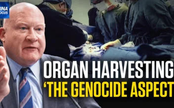 ORGAN HARVESTING IS THE GENOCIDE ASPECT: GUTMANN (THE EPOCH TIMES)
